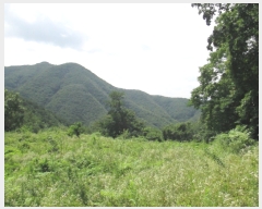  2019Ÿ��10809 ��� û�۱� û���� ���ܸ� 229-4      ����(��1)���