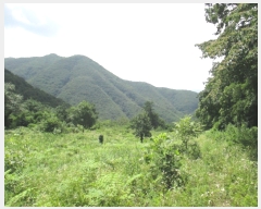  2019Ÿ��10809 ��� û�۱� û���� ���ܸ� 229-4      ����(��1)���