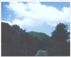  2019Ÿ��10809 ��� û�۱� û���� ���ܸ� 229-4      ����(��1)���