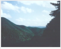  2019Ÿ��10809 ��� û�۱� û���� ���ܸ� 229-4      ����(��1)���