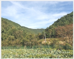  2019Ÿ��11147 ��� û�۱� �γ��� �߱⸮ ��2-2      ����(�Ӿ�)���