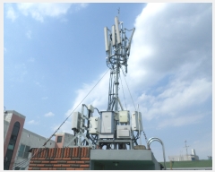  2019Ÿ��31297 �뱸 ���� �Ϻ���67�� 24-9       ���ð��