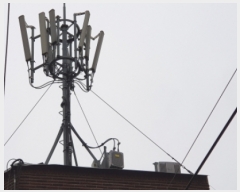  2019Ÿ��31297 �뱸 ���� �Ϻ���67�� 24-9       ���ð��