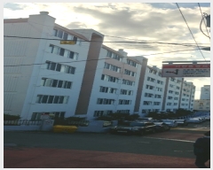 2019Ÿ111204   5 19, 2207ȣ (,޷Ʈ)     Ʈ