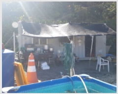  2019Ÿ8318 λ 屺   203-17      ,â