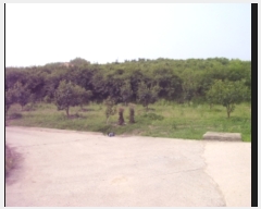  2019Ÿ��104934 �泲 ���ؽ� �Ѹ��� ��渮 809-5      ����(��1)���