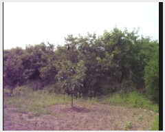  2019Ÿ��104934 �泲 ���ؽ� �Ѹ��� ��渮 809-5      ����(��1)���