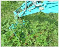  2019Ÿ106725 ()   3 430-20 (渮)     