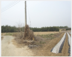  2019Ÿ��2199 �泲 â���� ��â�� ���� �ϵ��� 344     ����(��1)���