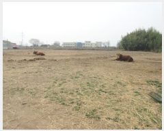  2019Ÿ��2199 �泲 â���� ��â�� ���� �ϵ��� 344     ����(��1)���