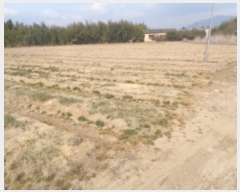  2019Ÿ��2199 �泲 â���� ��â�� ���� �ϵ��� 344     ����(��1)���