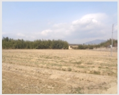  2019Ÿ��2199 �泲 â���� ��â�� ���� �ϵ��� 344     ����(��1)���