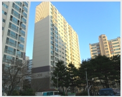  2019Ÿ1691 泲 ؽ  142, 306 151502ȣ (ΰ,긶οƮ)    Ʈ
