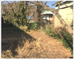  2019Ÿ158 泲 ֽ  »긮 198      ()