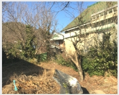  2019Ÿ158 泲 ֽ  »긮 198      ()