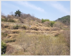  2019Ÿ��1700 �泲 ���ֽ� �ݻ�� ��Ƹ� 24      ����(��)���