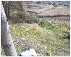  2019Ÿ��1700 �泲 ���ֽ� �ݻ�� ��Ƹ� 24      ����(��)���