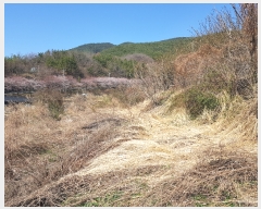  2019Ÿ��1700 �泲 ���ֽ� �ݻ�� ��Ƹ� 24      ����(��)���