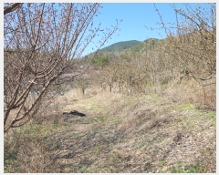  2019Ÿ��1700 �泲 ���ֽ� �ݻ�� ��Ƹ� 24      ����(��)���