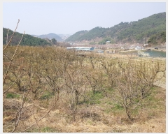  2019Ÿ��1700 �泲 ���ֽ� �ݻ�� ��Ƹ� 24      ����(��)���