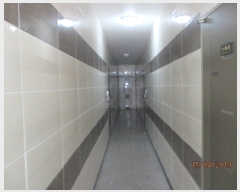  2019Ÿ��1953 �泲 ���ֽ� ��ŵ� 138-11       �ٰ������ð��