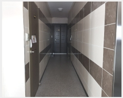  2019Ÿ��1953 �泲 ���ֽ� ��ŵ� 138-11       �ٰ������ð��