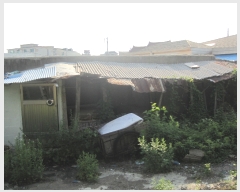  2019Ÿ3850 泲 õ õ Ǹ 305-2      ()