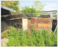  2019Ÿ3850 泲 õ õ Ǹ 305-2      ()