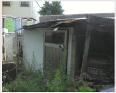  2019Ÿ3850 泲 õ õ Ǹ 305-2      ()