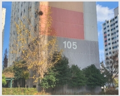  2019Ÿ��14341 �泲 �뿵�� �볲�� ���� 12, 105�� 8��806ȣ (�뿵û������������Ʈ)   ����Ʈ���