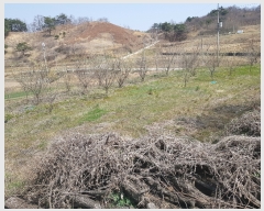  2019Ÿ��324 �泲 �Ծ籺 ������ ���� 1392      ����(��)���