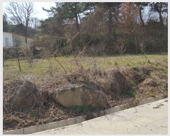  2019Ÿ��324 �泲 �Ծ籺 ������ ���� 1392      ����(��)���