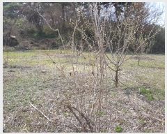  2019Ÿ��324 �泲 �Ծ籺 ������ ���� 1392      ����(��)���