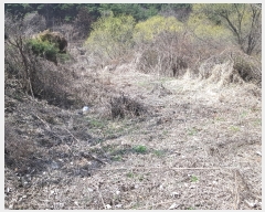  2019Ÿ��324 �泲 �Ծ籺 ������ ���� 1392      ����(��)���