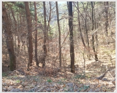  2019Ÿ��409 �泲 ��õ�� ����� �а ��102      ����(�Ӿ�)���