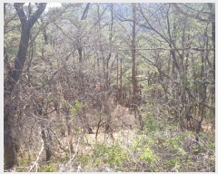  2019Ÿ��409 �泲 ��õ�� ����� �а ��102      ����(�Ӿ�)���