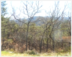  2019Ÿ��409 �泲 ��õ�� ����� �а ��102      ����(�Ӿ�)���