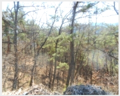  2019Ÿ��409 �泲 ��õ�� ����� �а ��102      ����(�Ӿ�)���