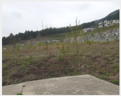  2019Ÿ��546 �泲 �Ծ籺 ����� �ø� 619      ����(�������)���