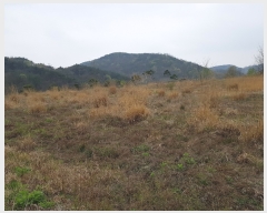  2019Ÿ��546 �泲 �Ծ籺 ����� �ø� 619      ����(�������)���