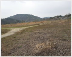  2019Ÿ��546 �泲 �Ծ籺 ����� �ø� 619      ����(�������)���