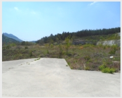  2019Ÿ��546 �泲 �Ծ籺 ����� �ø� 619      ����(�������)���