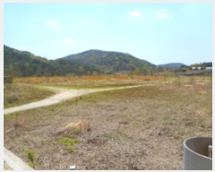  2019Ÿ��546 �泲 �Ծ籺 ����� �ø� 619      ����(�������)���