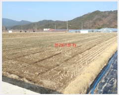  2019Ÿ��10109 �泲 ��â�� ��õ�� ���긮 335      ����(��)���