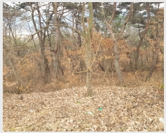  2019Ÿ10222 泲 õ û  252      (Ӿ)