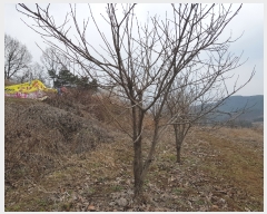  2019Ÿ10222 泲 õ û  252      (Ӿ)