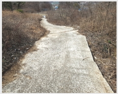  2019Ÿ10222 泲 õ û  252      (Ӿ)