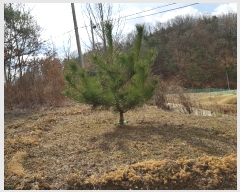  2019Ÿ10222 泲 õ û  252      (Ӿ)