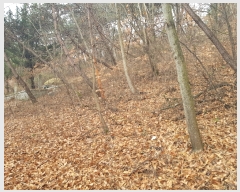  2019Ÿ10222 泲 õ û  252      (Ӿ)