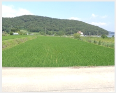  2019Ÿ��4935 �泲 â���� ���������� ������ �ٱ��� 429-2     ����(��)���